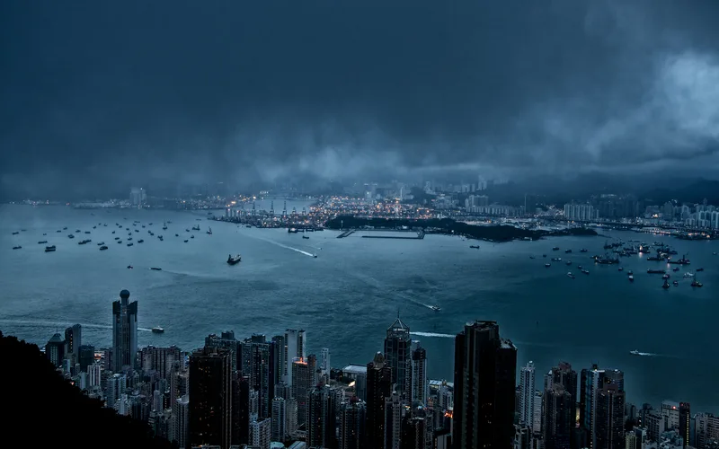 Harbour full of ships seen from a hill at dusk