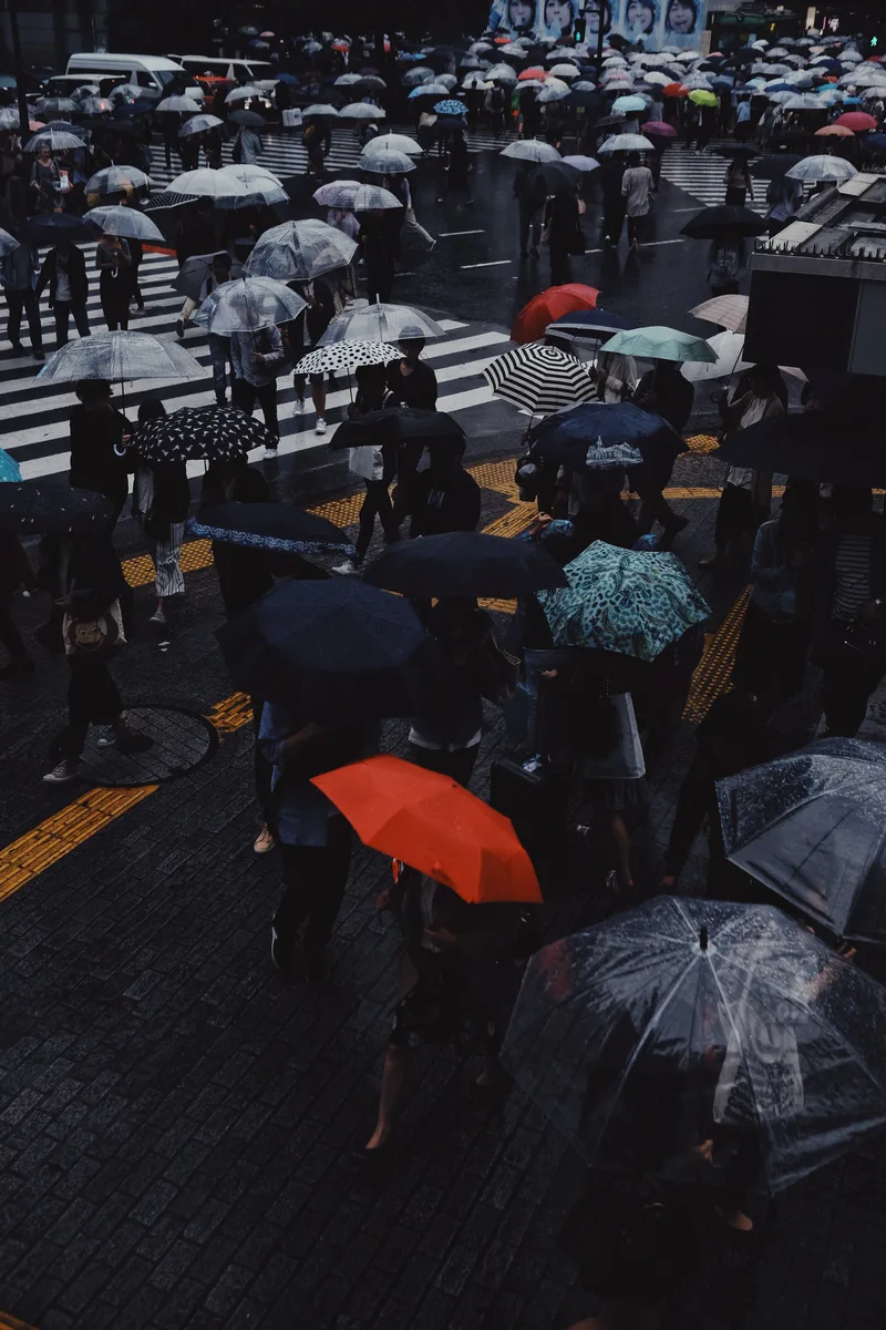 Crowd of umbrellas from above, one red among them