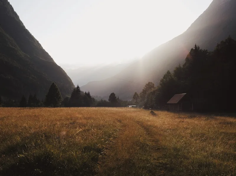 Misty valley meadow between steep forested slopes
