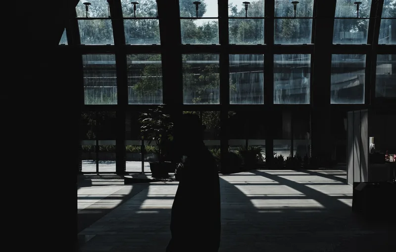 Silhouetted figure before tall sunlit windows
