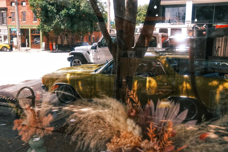 Yellow taxis behind a shop window hung with dried flowers
