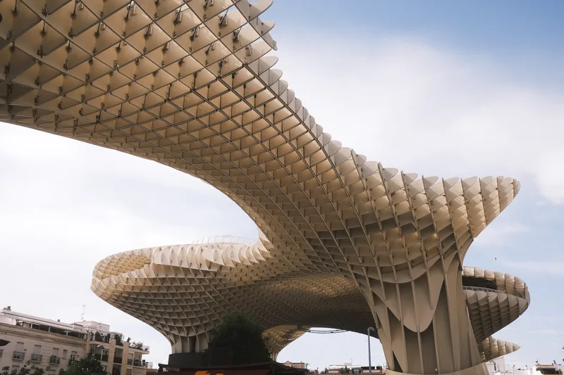 Undulating timber canopy structure against blue sky