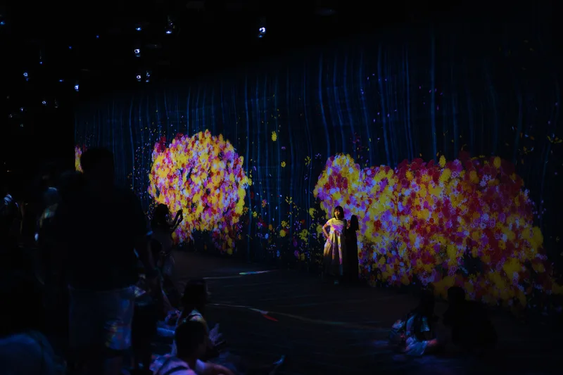 Illuminated flower projections filling a dark room