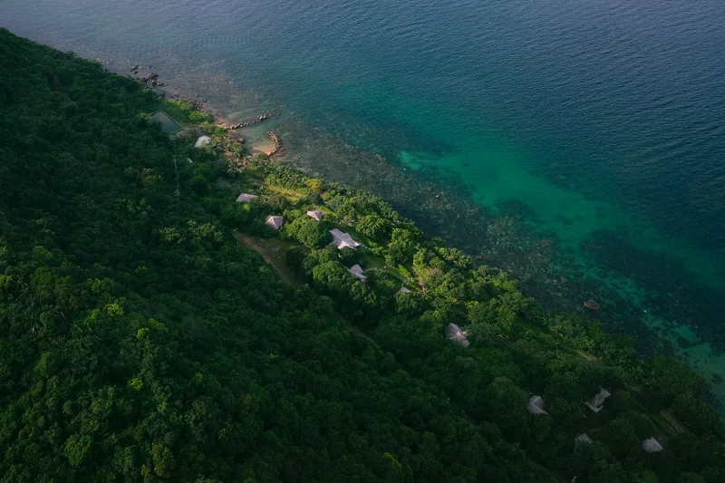 Forested shoreline meeting turquoise water, seen from above