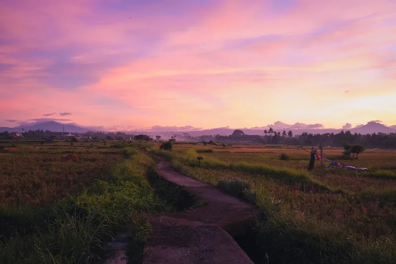 Dirt path through grassland under a pink and blue sunset